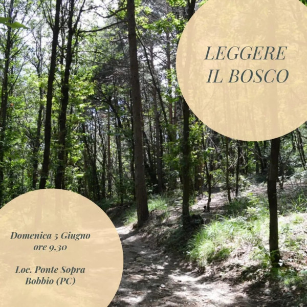 Leggere il bosco